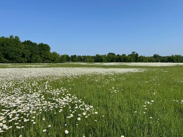 $242,000 | Xxxxx Xxxxx County Road, Grantsburg, WI 54840