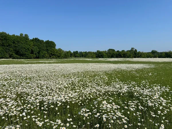 $242,000 | Xxxxx Xxxxx County Road, Grantsburg, WI 54840