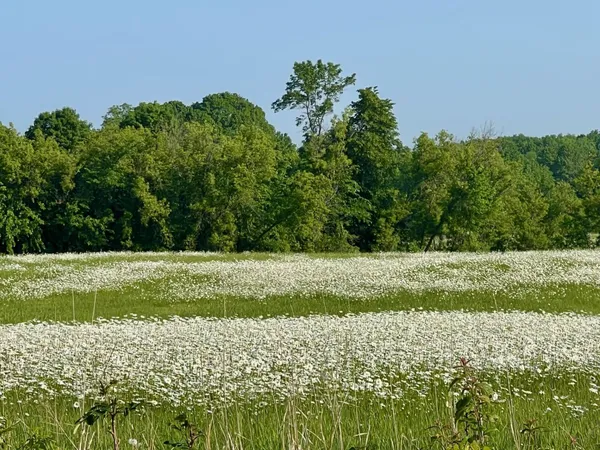 $242,000 | Xxxxx Xxxxx County Road, Grantsburg, WI 54840