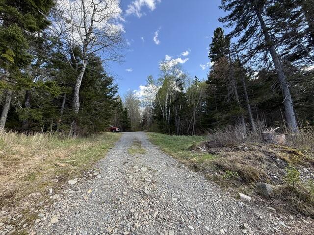 Lot 13 Pidgeon Point Road Whiting, ME 04691 - Photo 22 of 25 IMG_9945 (2)