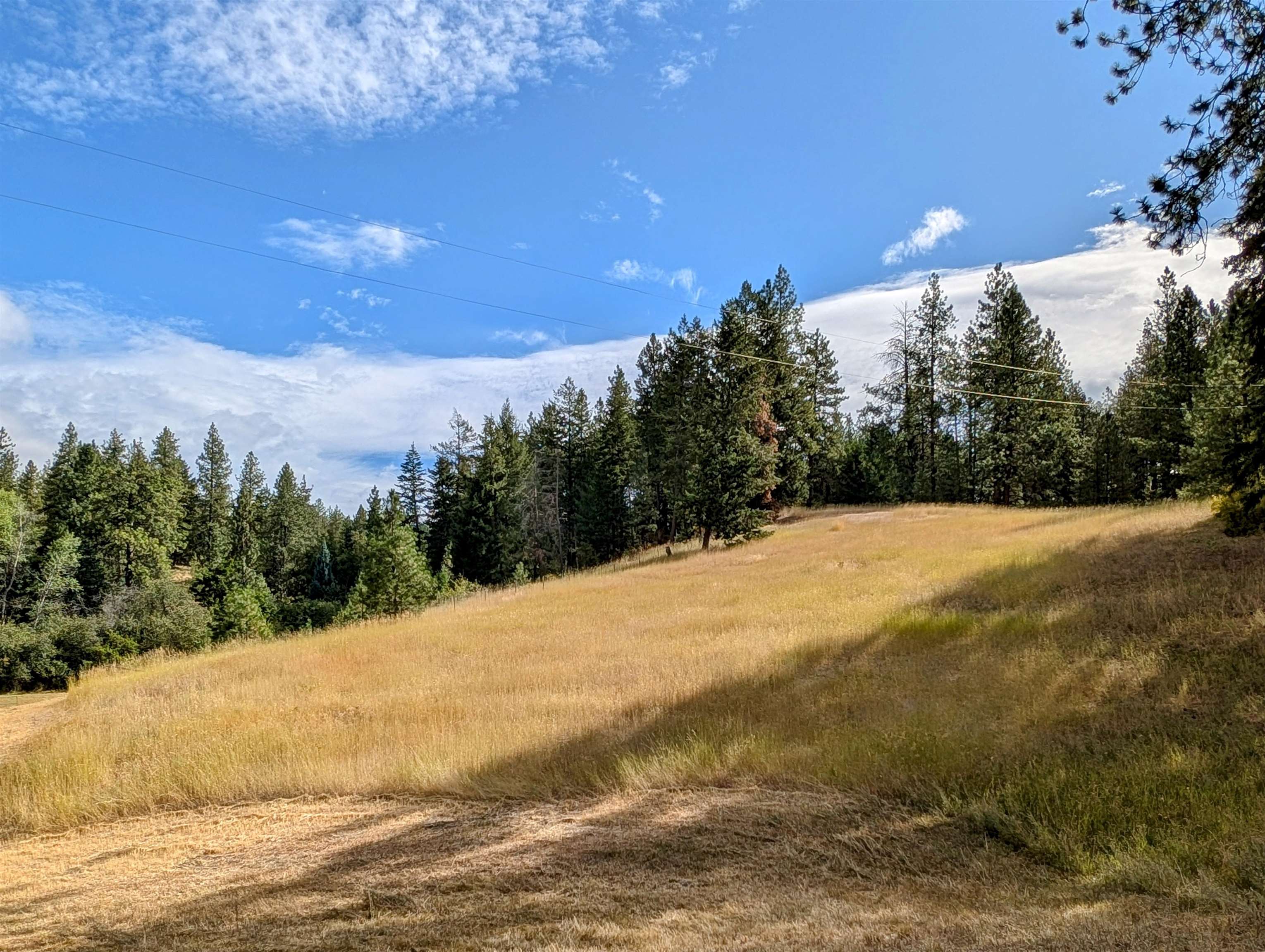 5435 South Swenson Road Deer Park, WA 99006 - Photo 43 of 50 Gallery Image 43