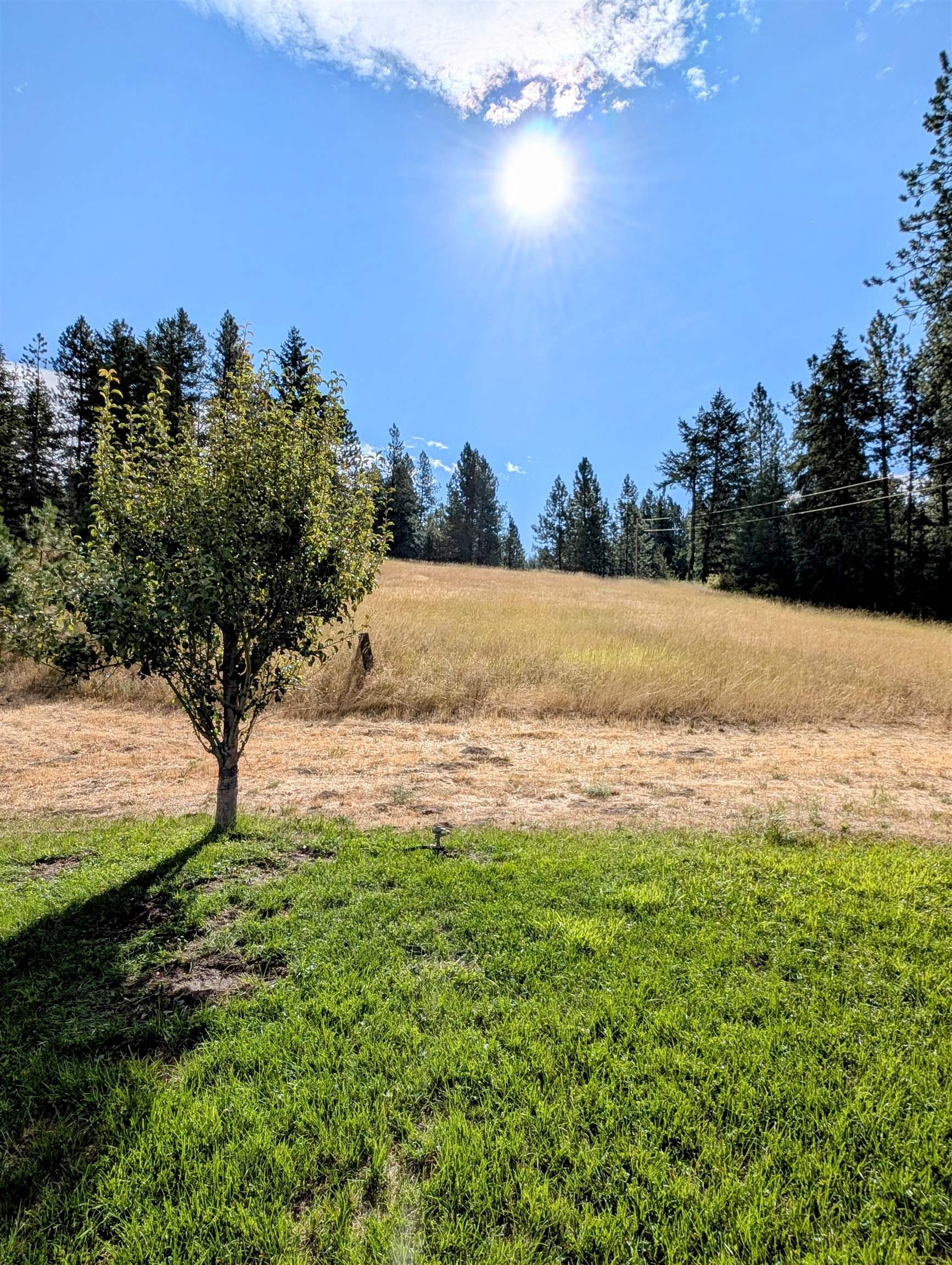 5435 South Swenson Road Deer Park, WA 99006 - Photo 44 of 50 Gallery Image 44