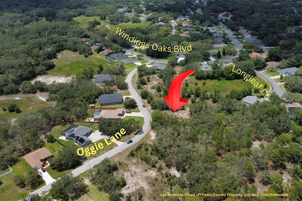 14 Oggie Lane Hudson, FL 34667 - Photo 2 of 6 an aerial view of residential houses with outdoor space and street view