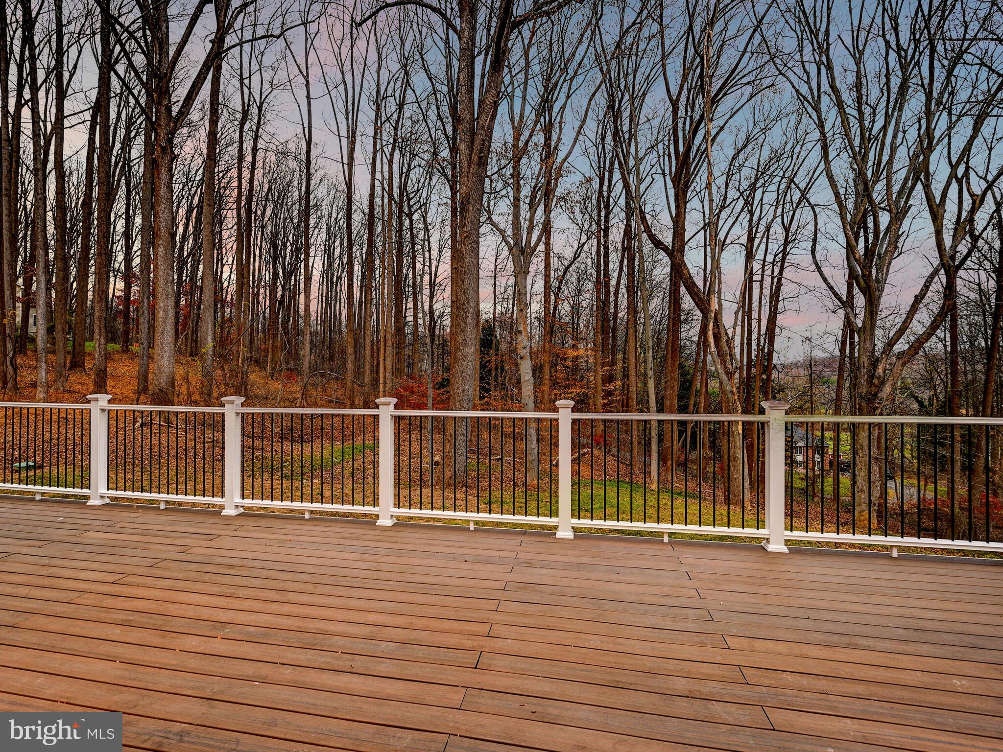 11317 Manor Road Glen Arm, MD 21057 - Photo 49 of 55 Gallery Image 49