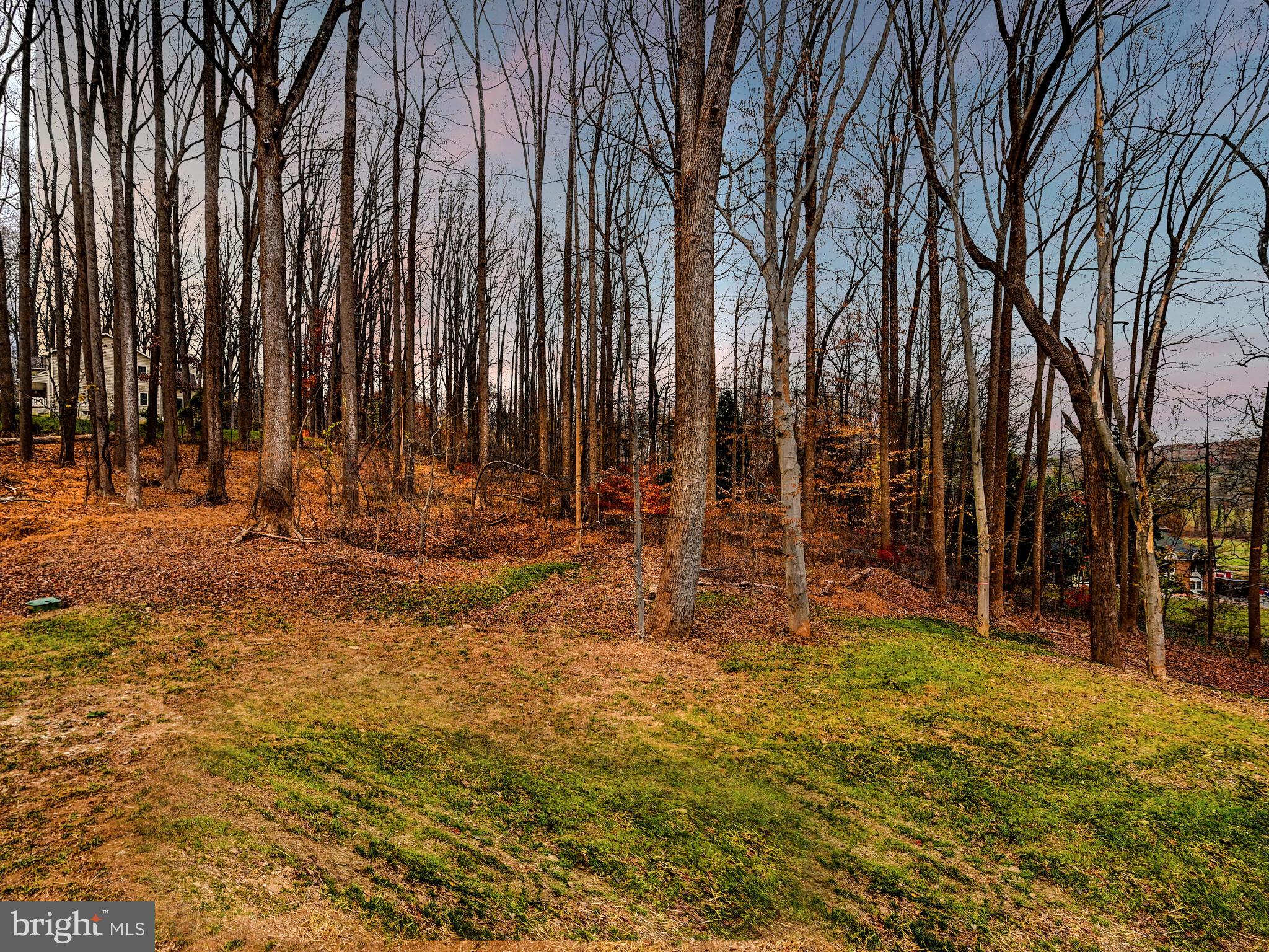 11317 Manor Road Glen Arm, MD 21057 - Photo 51 of 55 Gallery Image 51