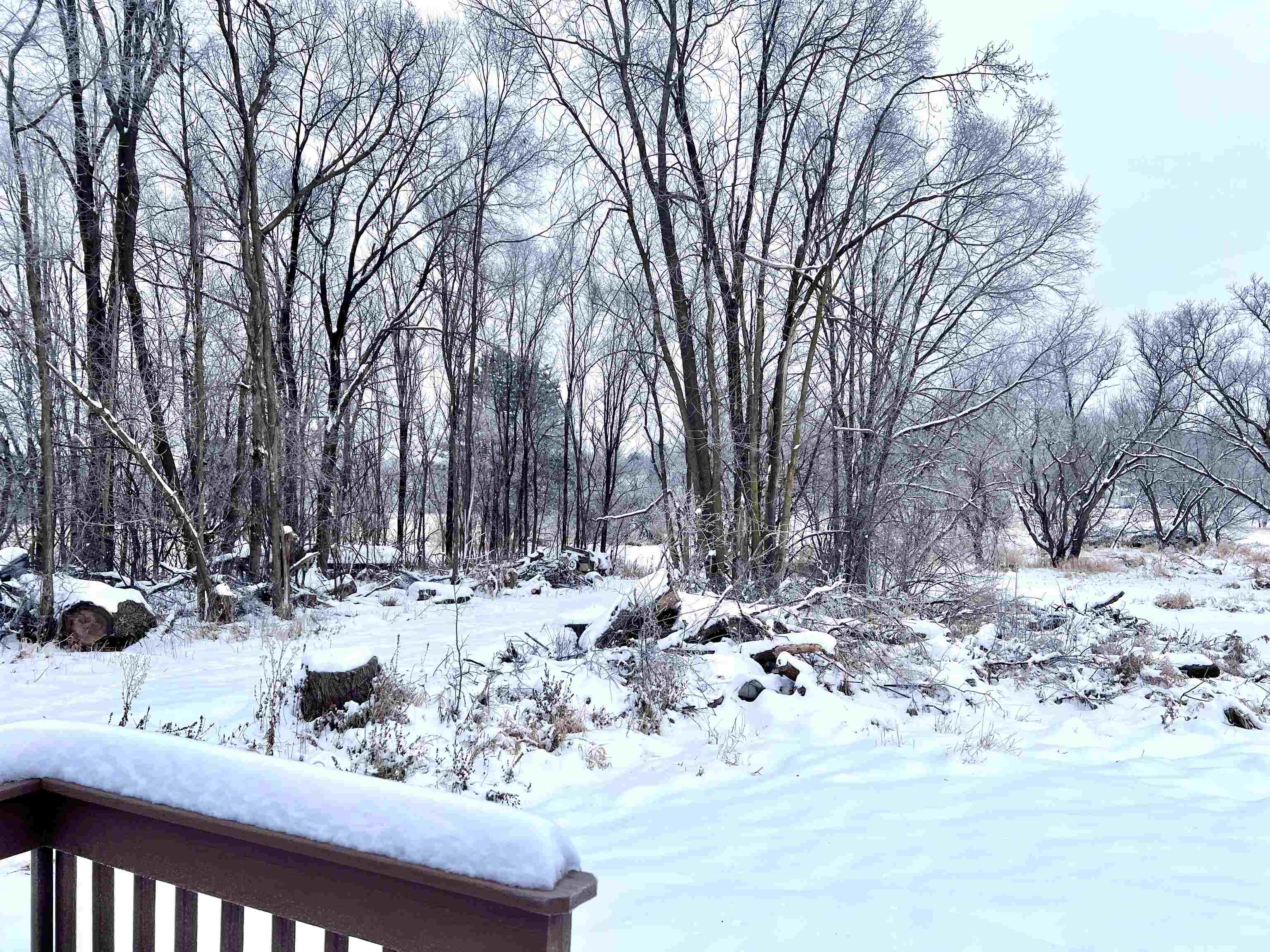 110 3rd Street Elroy, WI 53929 - Photo 13 of 22