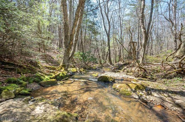 931 Maple Shade Road Laurel Fork, VA 24352 - Photo 4 of 50