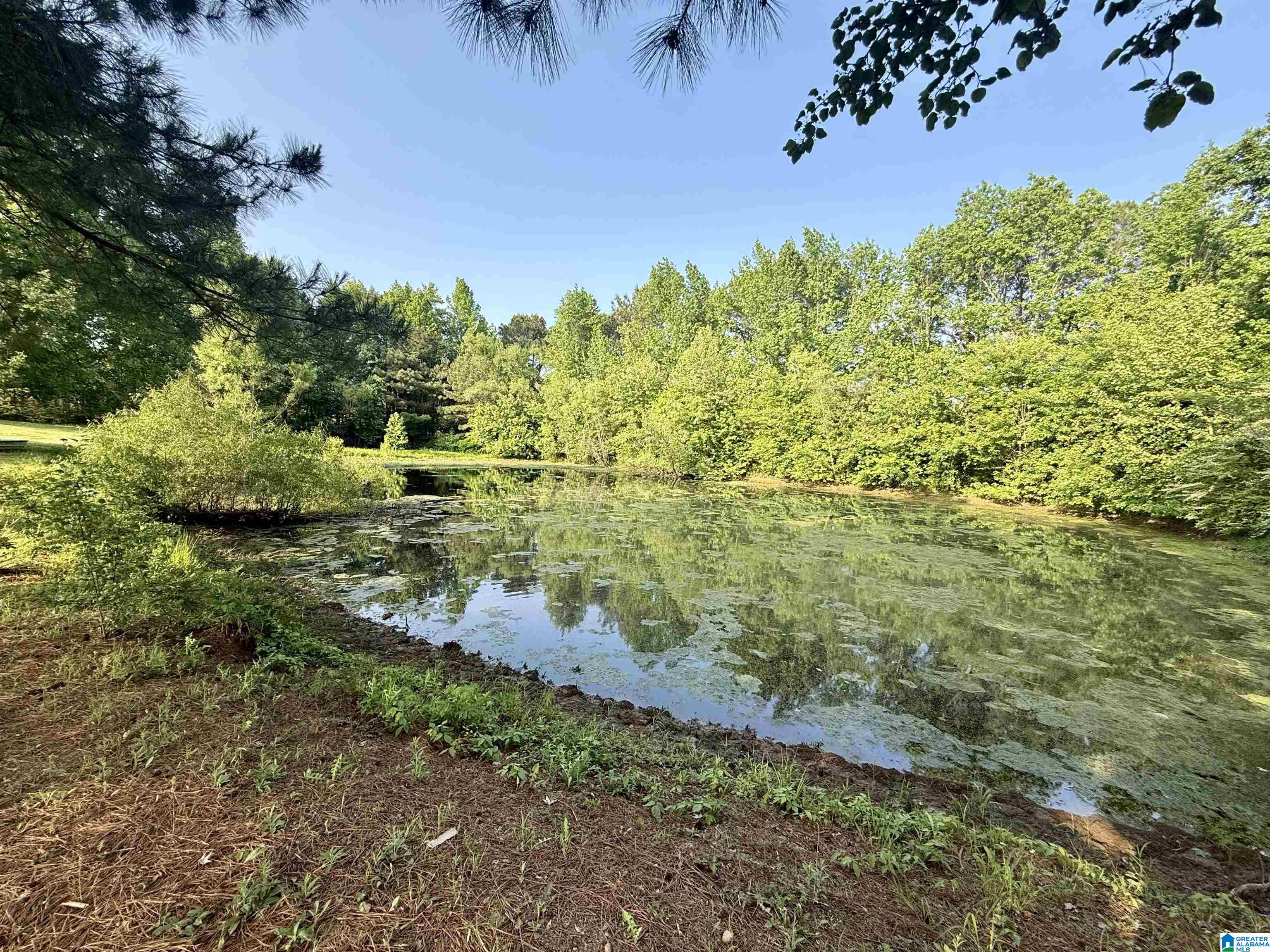 151 Friendship Road Altoona, AL 35952 - Photo 19 of 41