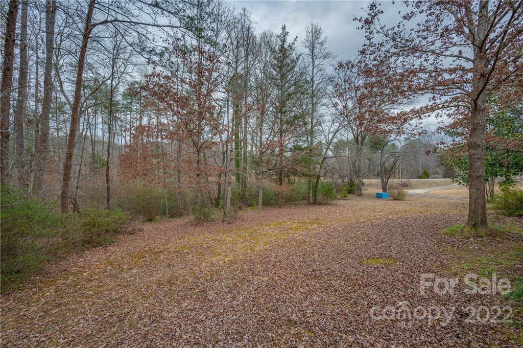 1139 Piney Knob Road Rutherfordton, NC 28139 - Photo 6 of 37 a view of a forest with trees