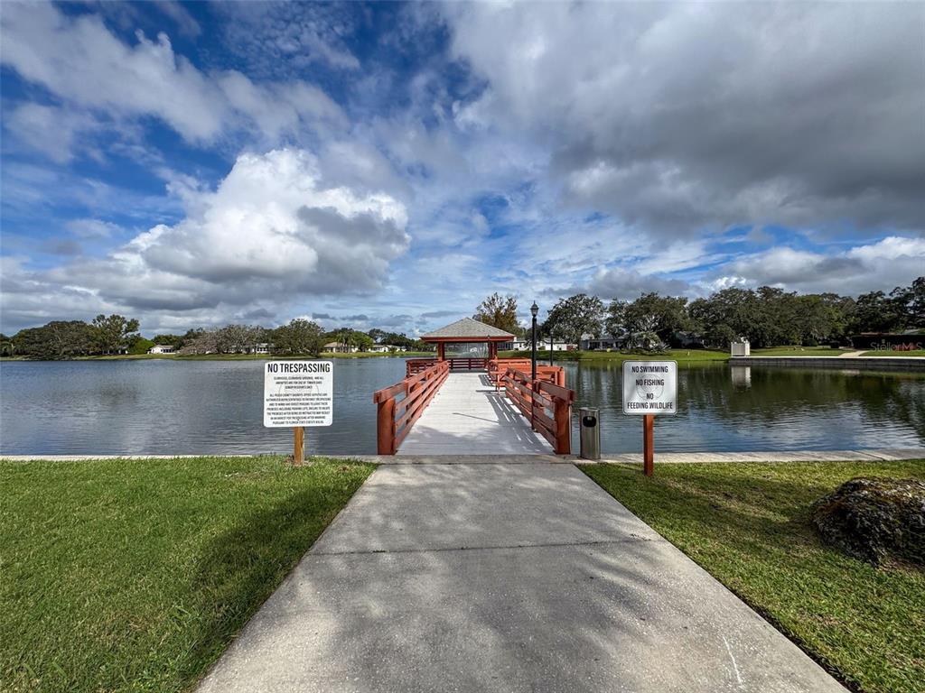 11241 Versailles Lane Port Richey, FL 34668 - Photo 45 of 84