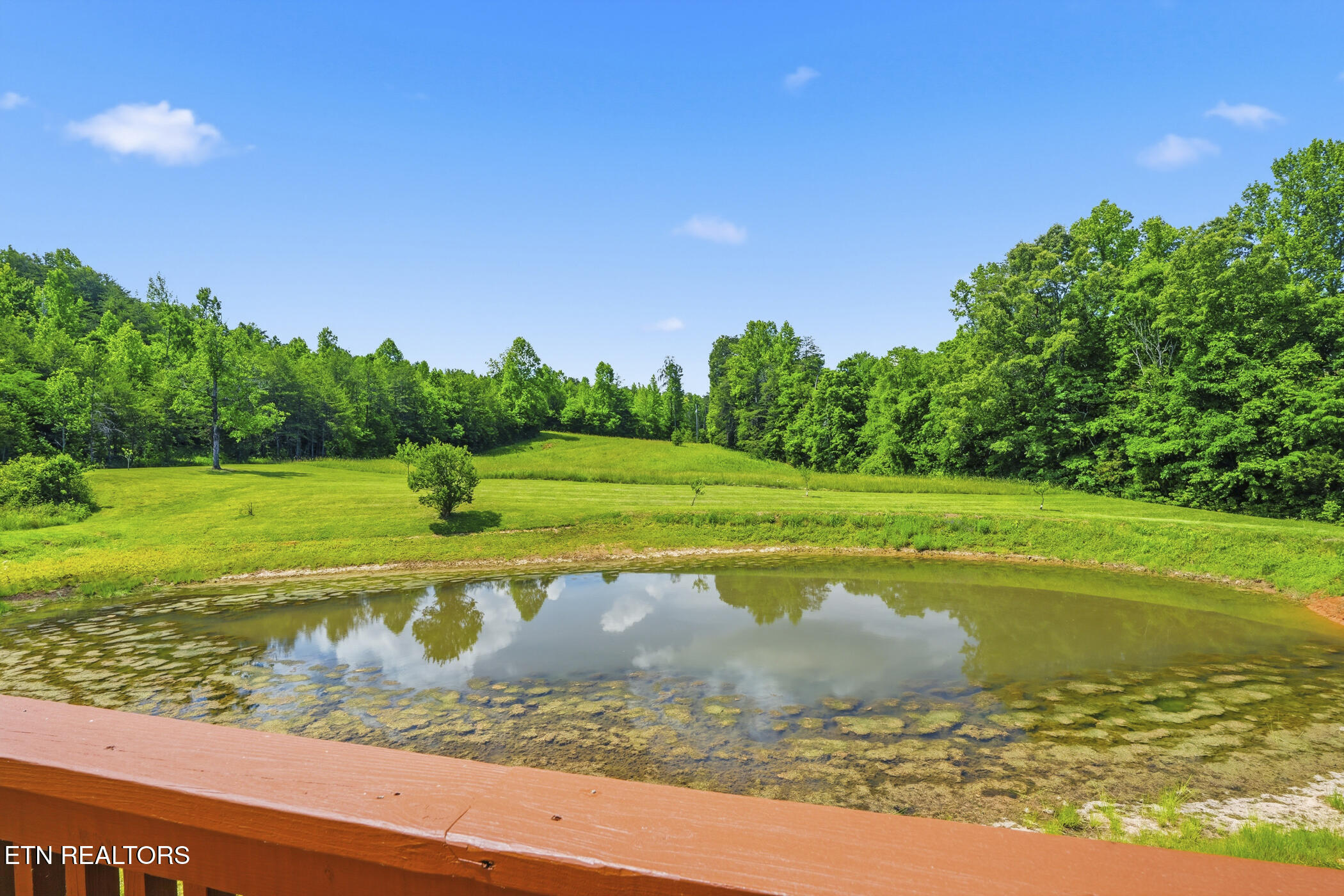 220 Three Point Road Vonore, TN 37885 - Photo 24 of 59 dsc06272