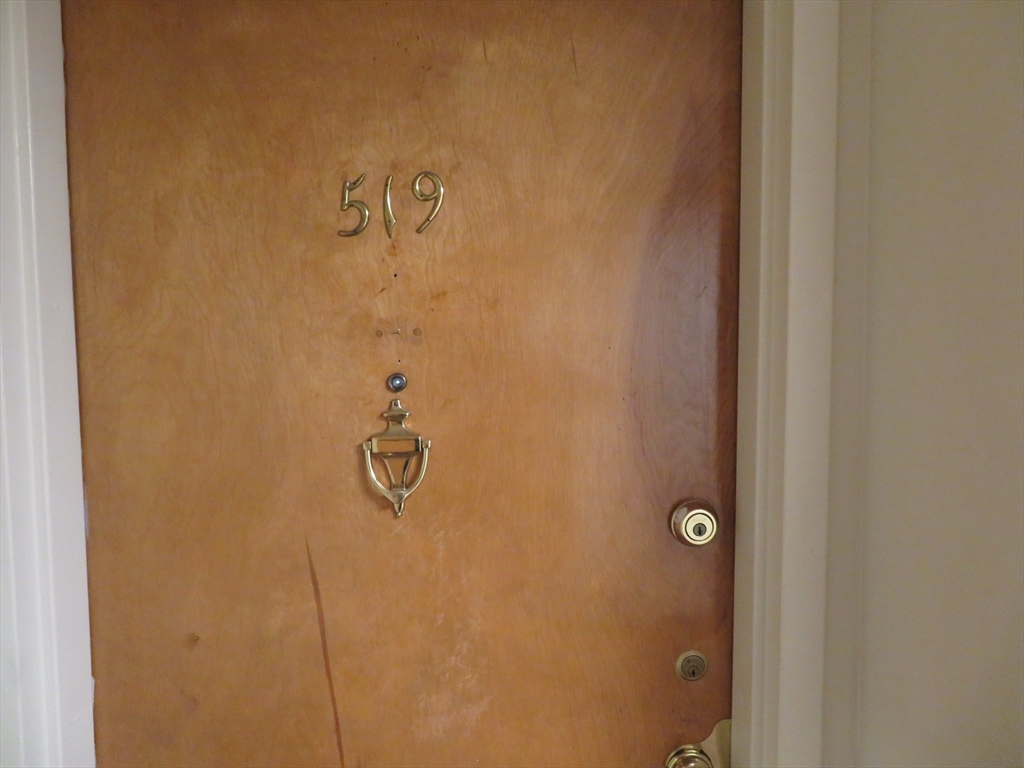 101 Mulberry Street, Unit 519 Springfield, MA 01105 - Photo 4 of 17