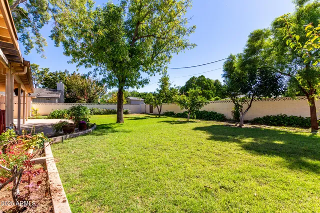 a view of an outdoor space