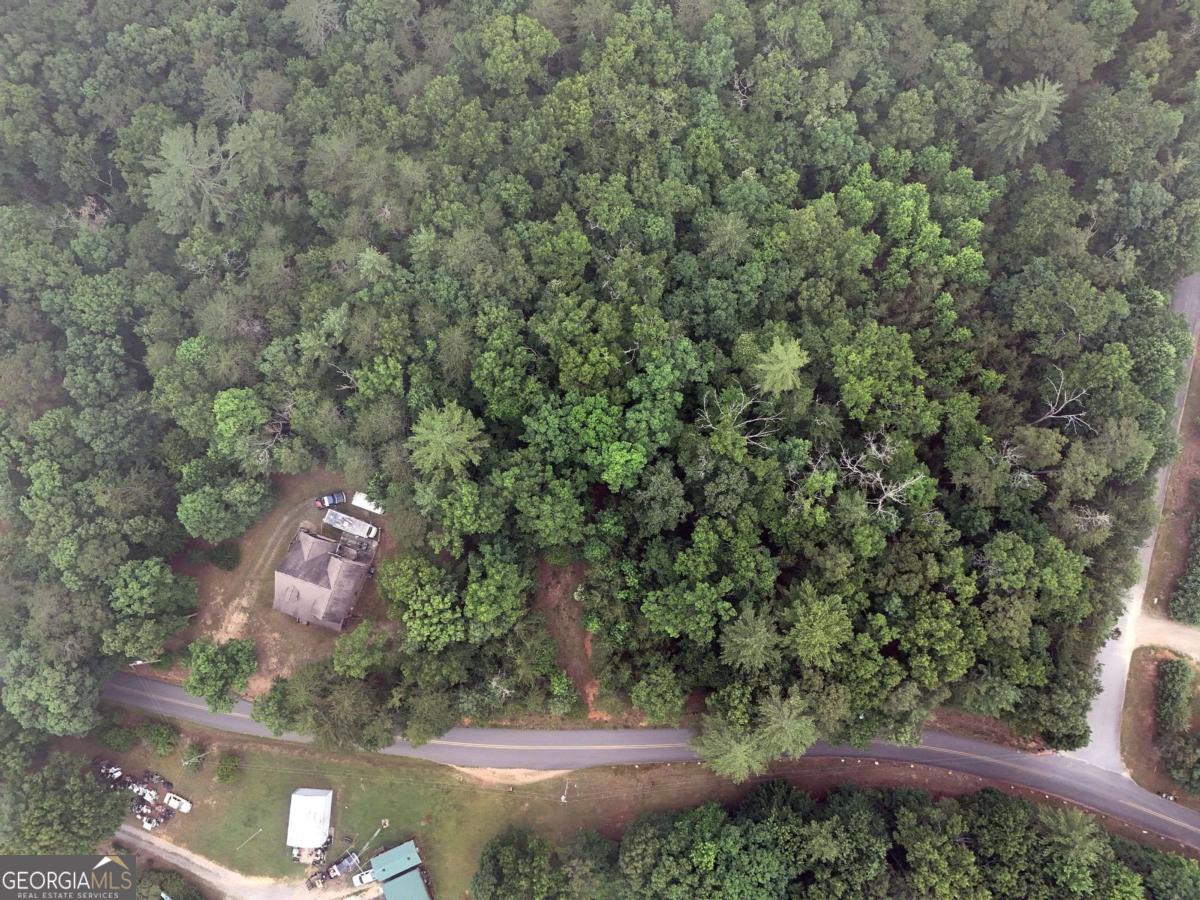 Lot 3 Cook Henry Road Blairsville, GA 30512 - Photo 5 of 18