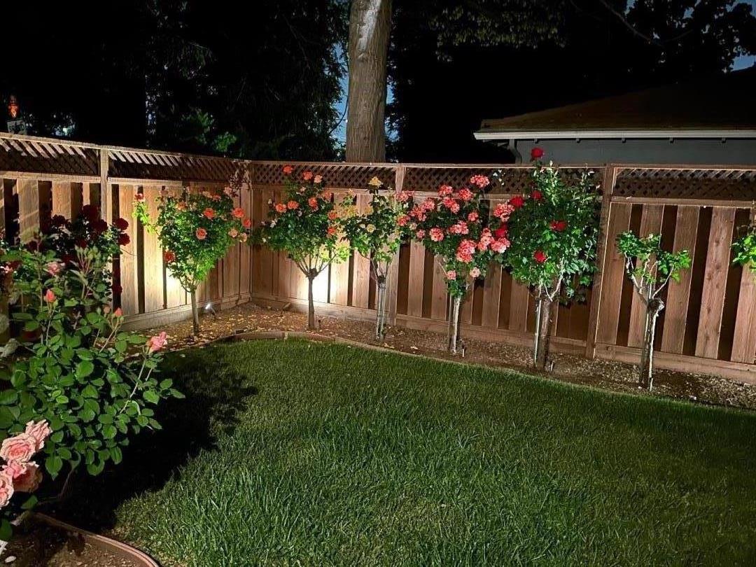 1701 Springer Road Mountain View, CA 94040 - Photo 38 of 48 a view of outdoor space and yard