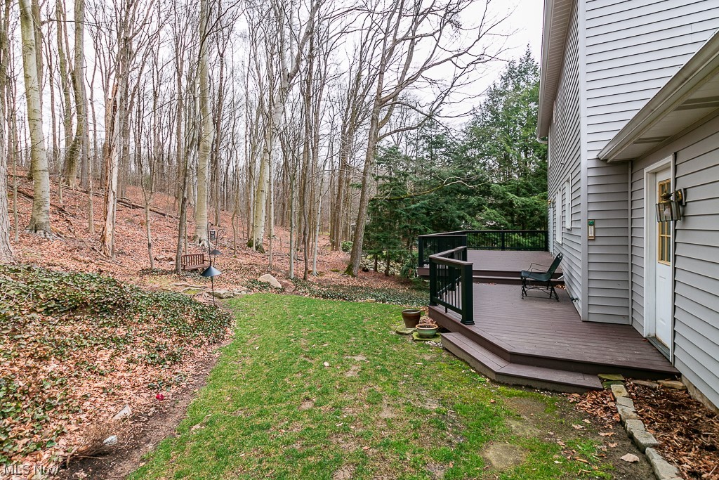 10814 Butternut Road Chesterland, OH 44026 - Photo 39 of 44 Gallery Image 39