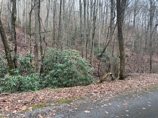 14 Black Walnut Flats Road Sevierville, TN 37862 - Photo 2 of 15 Gallery Image 2
