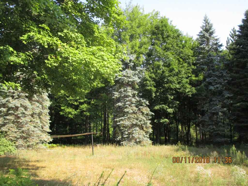 302 Thomas Road Kalkaska, MI 49646 - Photo 27 of 40 1851550-26.JPG