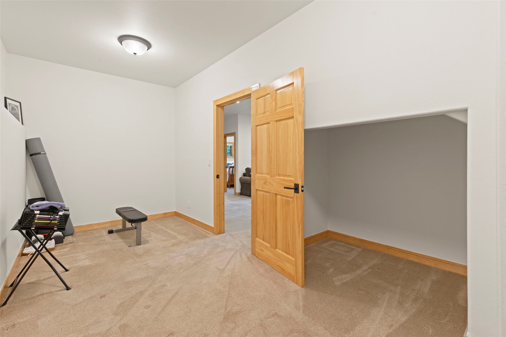 736 Wild Rose Road Silverthorne, CO 80498 - Photo 36 of 49 Exercise area with carpet flooring and baseboards