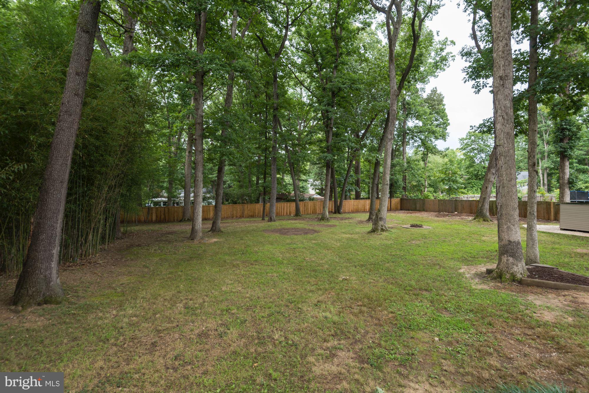 7729 Schelhorn Road Alexandria, VA 22306 - Photo 29 of 30 Tranquil and beautiful
