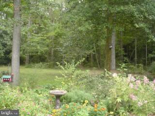 33066 Longridge Road Parsonsburg, MD 21849 - Photo 9 of 11 Gallery Image 9