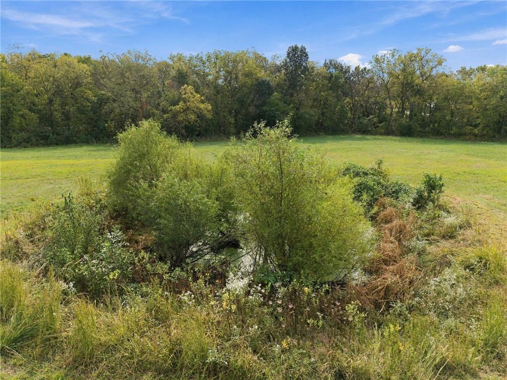 Tbd Tbd County Road Holden, MO 64040 - Photo 16 of 33 Gallery Image 16