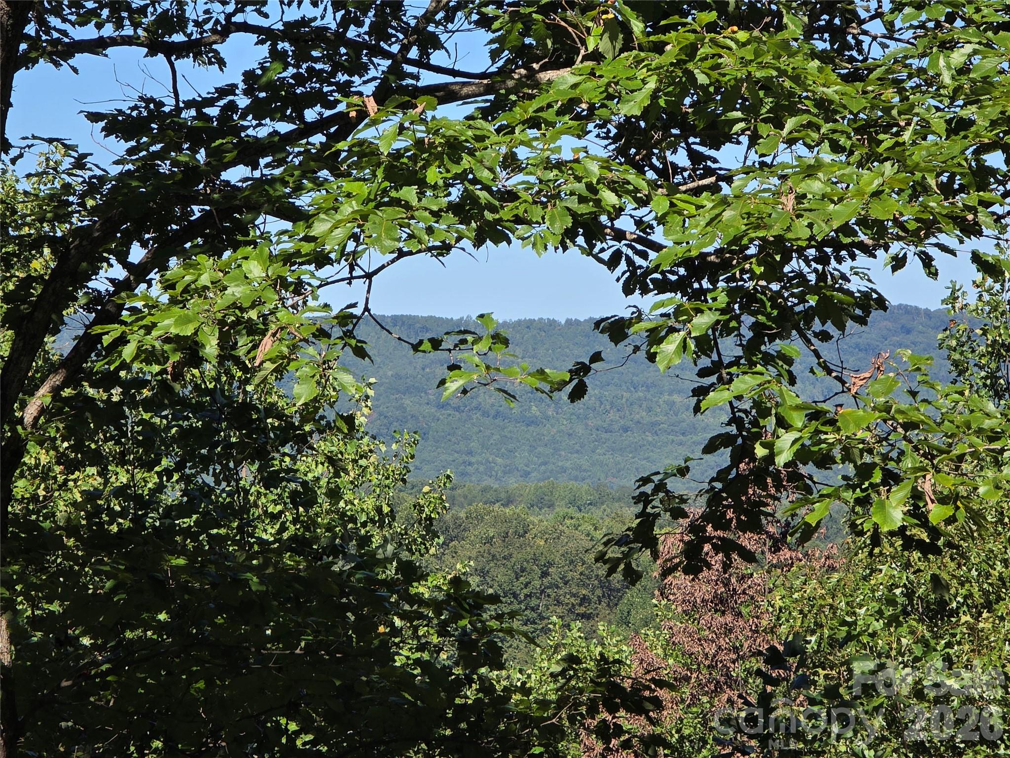 19 Meditation Rdg Dr Extension Nebo, NC 28761 - Photo 4 of 30 Gallery Image 4