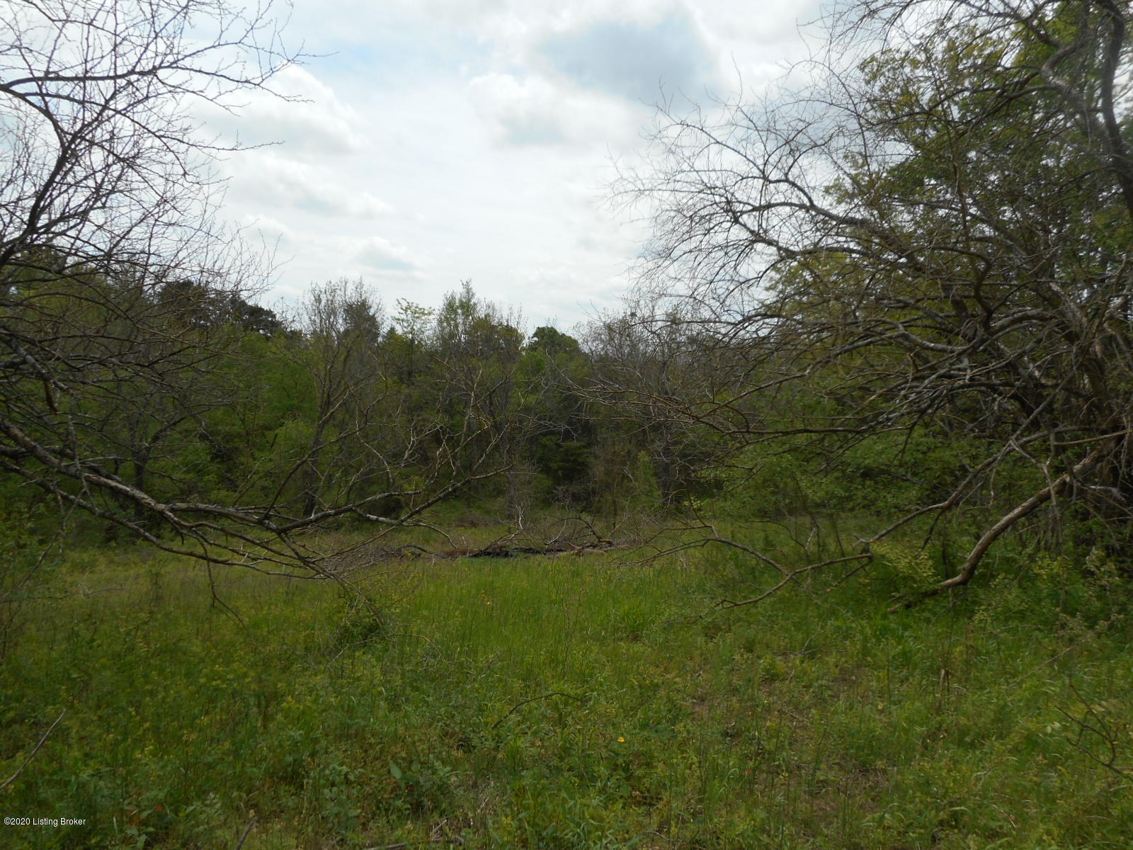 2551 Hardesty Ridge Road Taylorsville, KY 40071 - Photo 7 of 7 DSCN3416