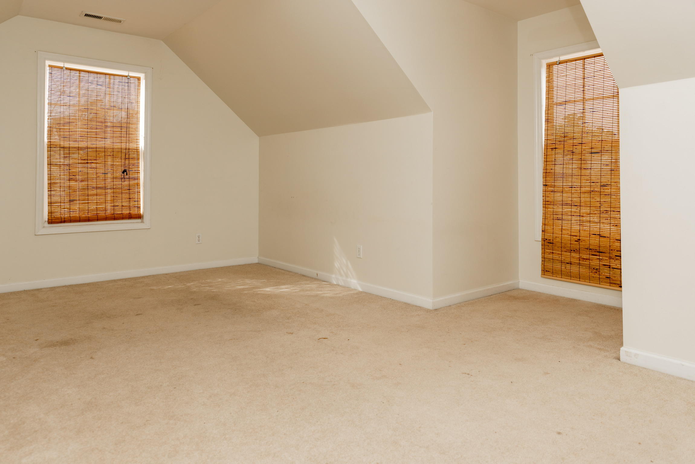 9329 Ayscough Road Summerville, SC 29485 - Photo 24 of 41 8533E1CD-A136-43EA-BCBE-8B53FA155EF3