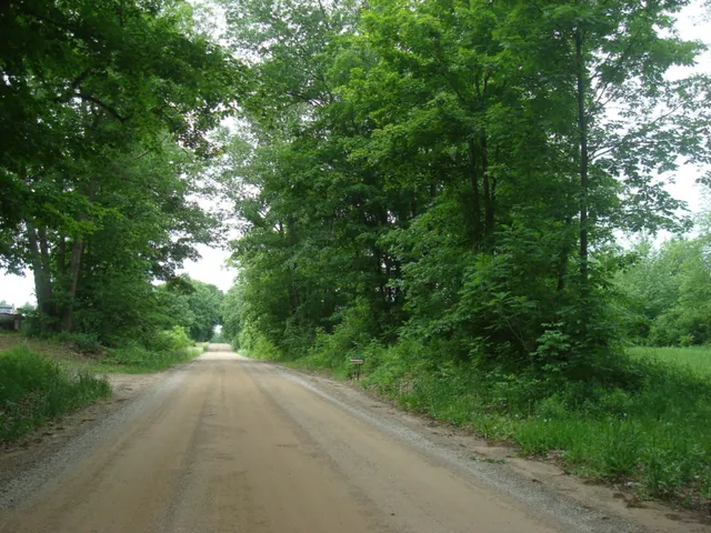 $77,000 | 0 East Bear Road, Osseo, MI 49266