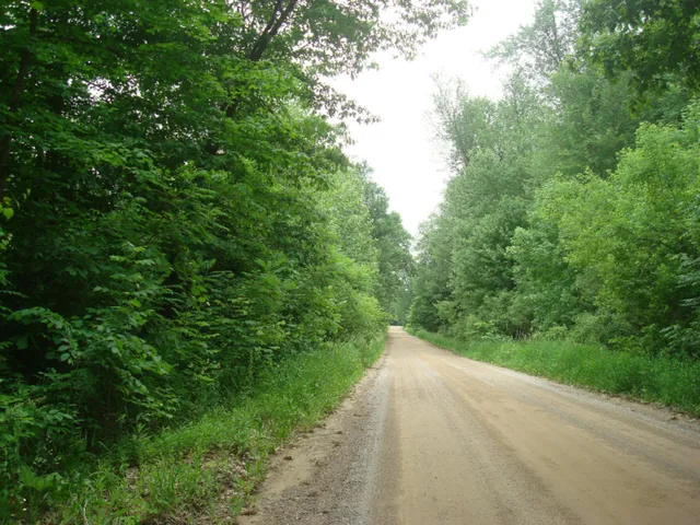 $77,000 | 0 East Bear Road, Osseo, MI 49266