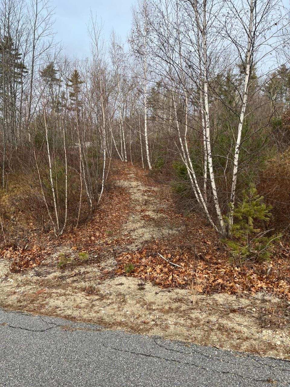 Carriage Hill Road, Unit 13 Wilton, NH 03086 - Photo 1 of 2