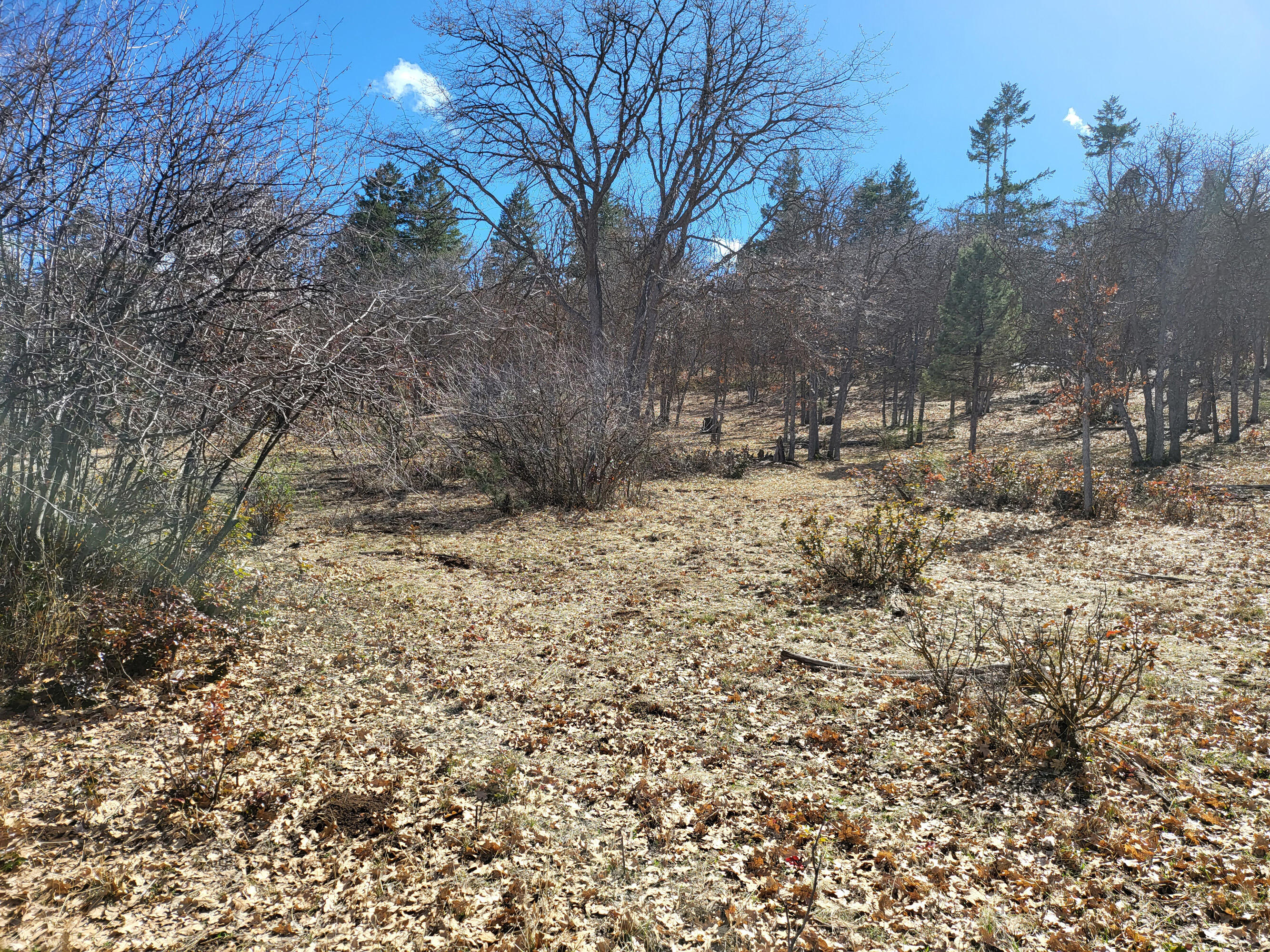 Lot 853 Cooper's Hawk Road Klamath Falls, OR 97601 - Photo 3 of 4 20230416_151151