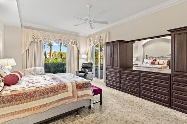 a view of a park with palm trees