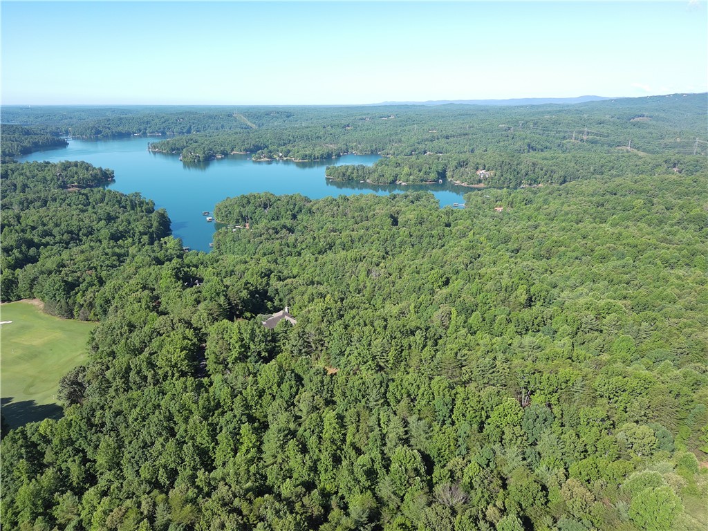112 Links View Court Sunset, SC 29685 - Photo 3 of 9 A tranquil lake view from an aerial perspective reveals lush forestation and a nearby golf course.