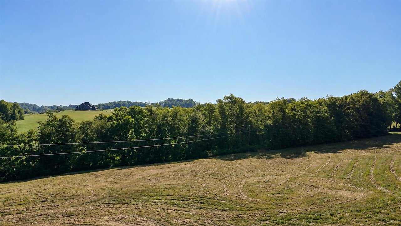 5750 Randolph Goodluck Road Summer Shade, KY 42166 - Photo 5 of 33 Gallery Image 5