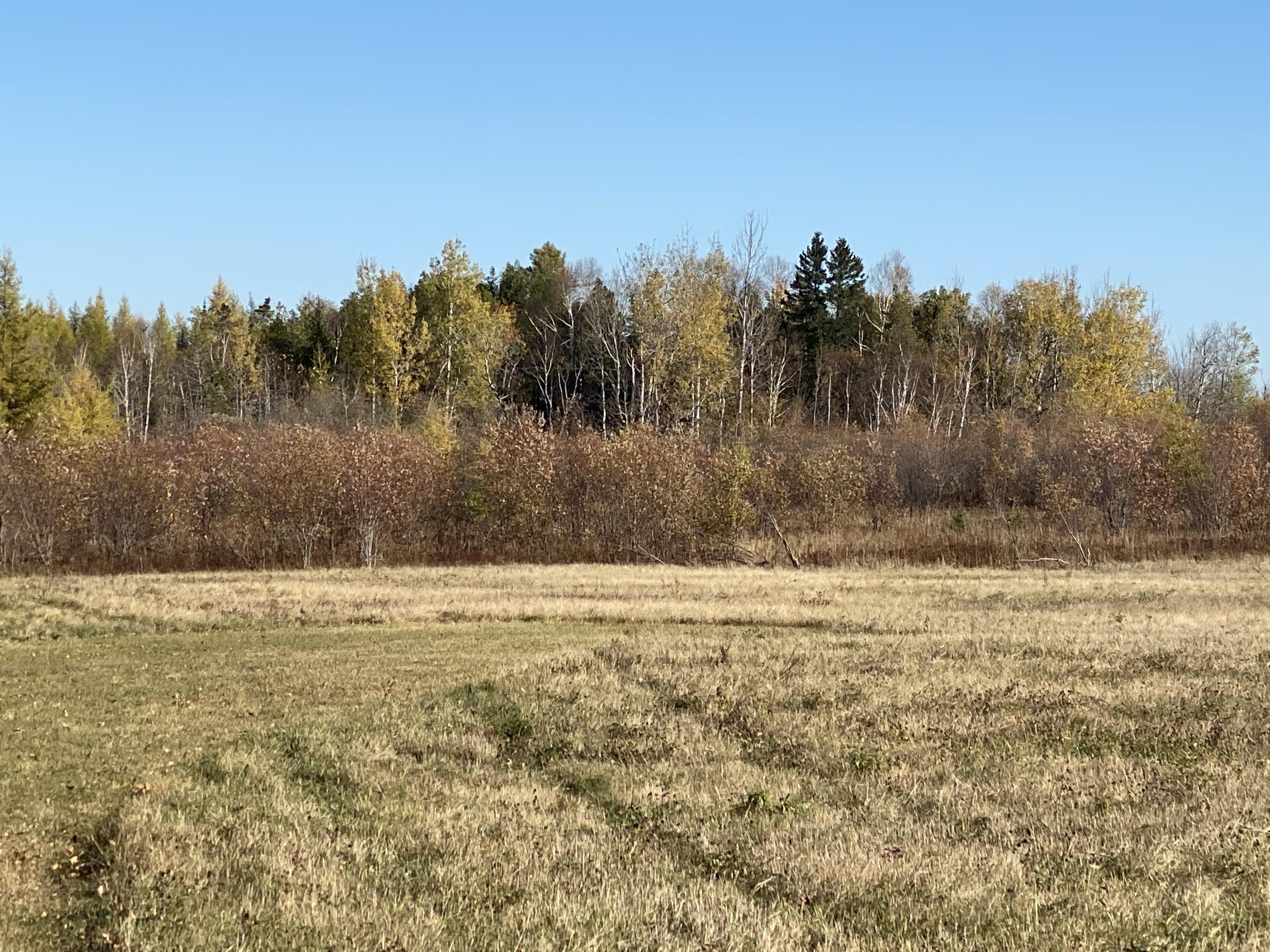 Lot 14 Carson Road Perham, ME 04766 - Photo 3 of 4 IMG_2807