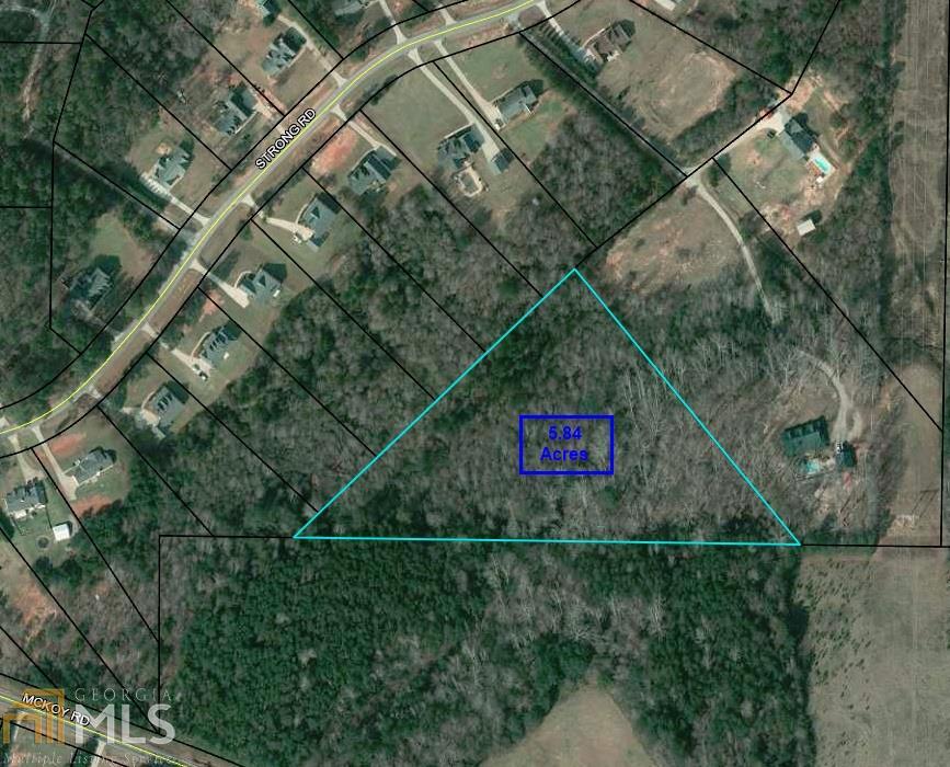 0 Strong Road Newnan, GA 30263 - Photo 1 of 1