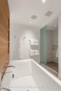 $82,500 | 708 East Hopkins Avenue, Aspen, CO 81611