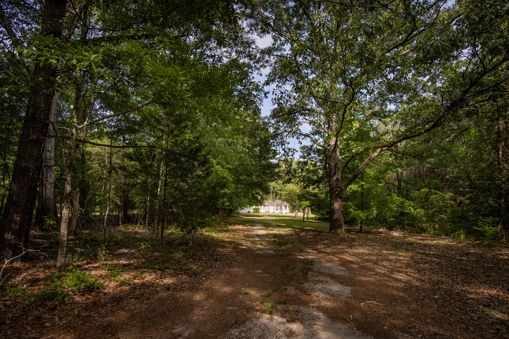 1926 Pole Bridge Road Pine Mountain, GA 31822 - Photo 32 of 37 Driveway