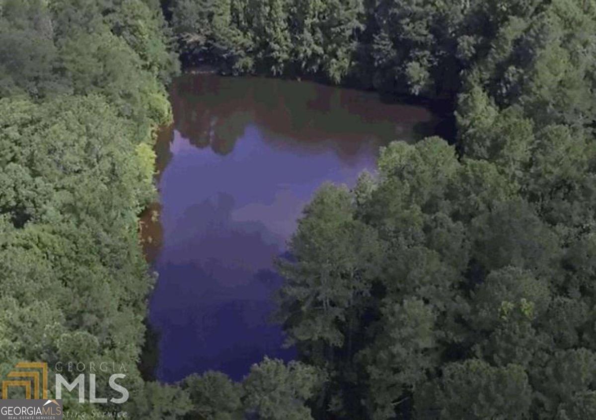 5656 Hamilton Road Pine Mountain, GA 31822 - Photo 63 of 87