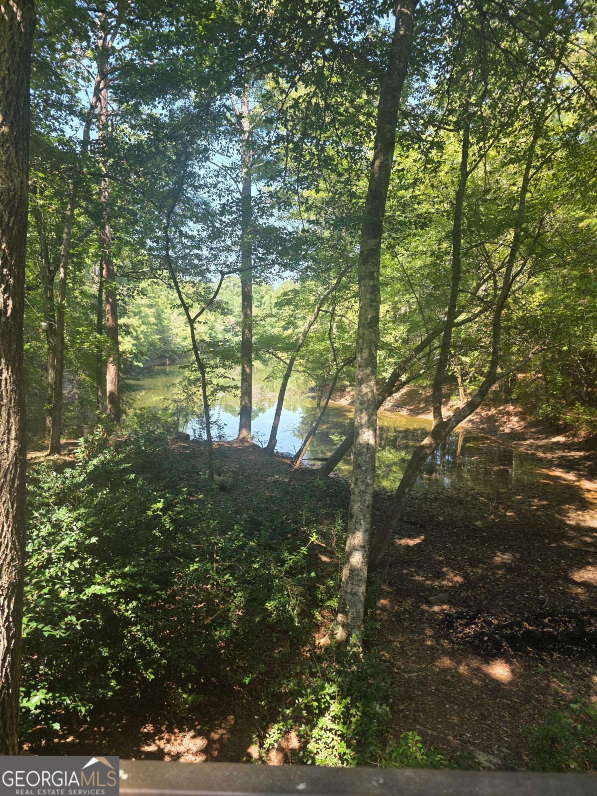 5656 Hamilton Road Pine Mountain, GA 31822 - Photo 67 of 87