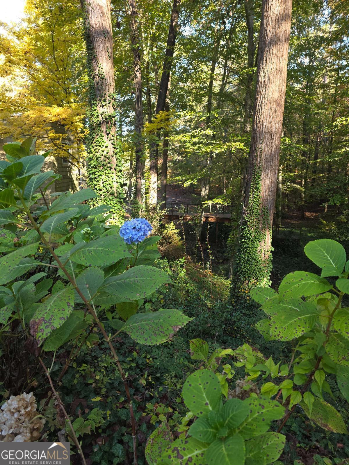 5656 Hamilton Road Pine Mountain, GA 31822 - Photo 70 of 87