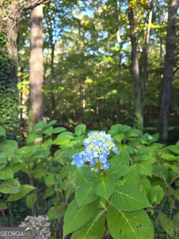 $699,900 | 5656 Hamilton Road, Pine Mountain, GA 31822