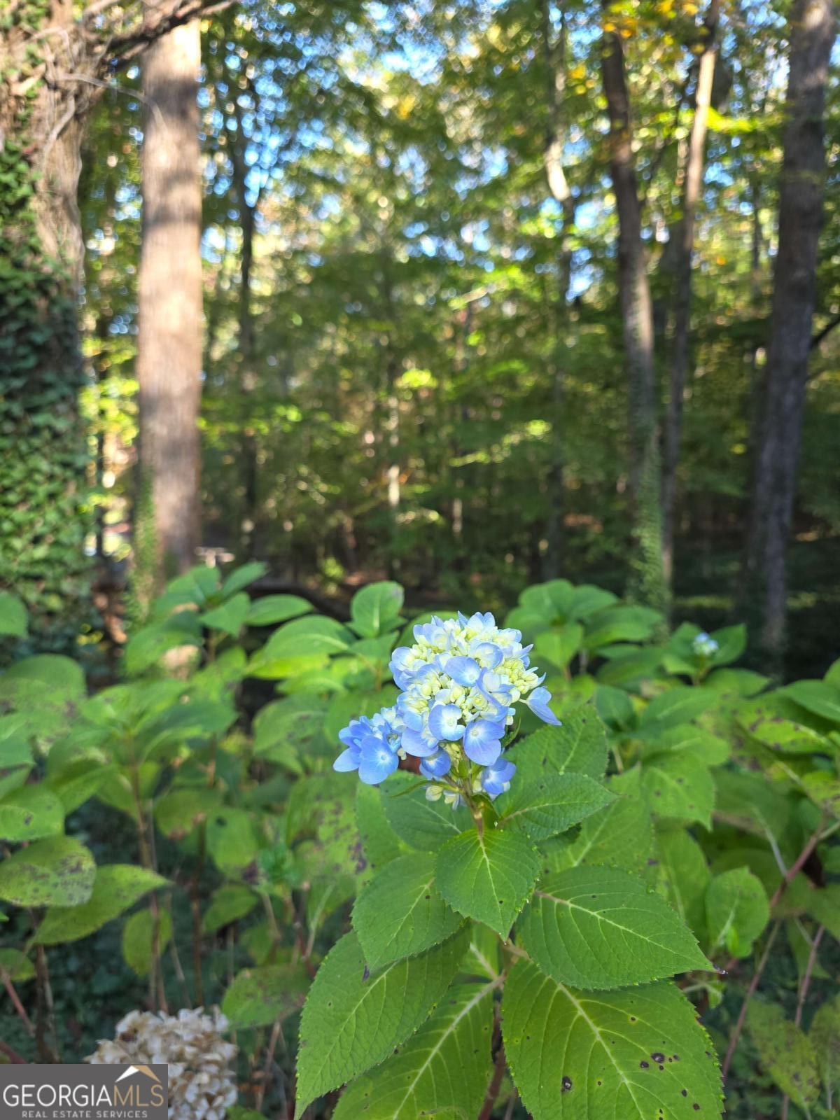 5656 Hamilton Road Pine Mountain, GA 31822 - Photo 71 of 87