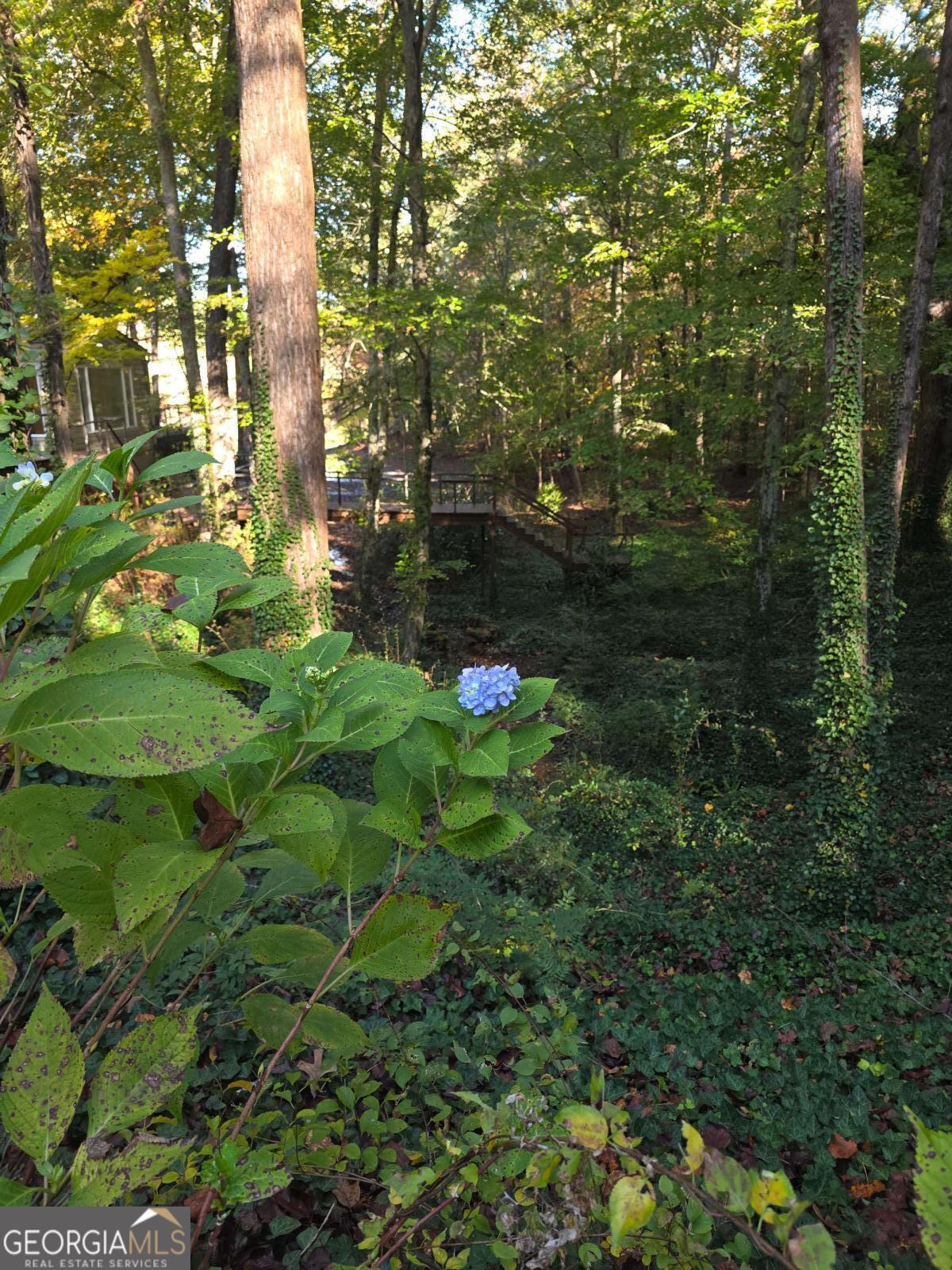 5656 Hamilton Road Pine Mountain, GA 31822 - Photo 72 of 87