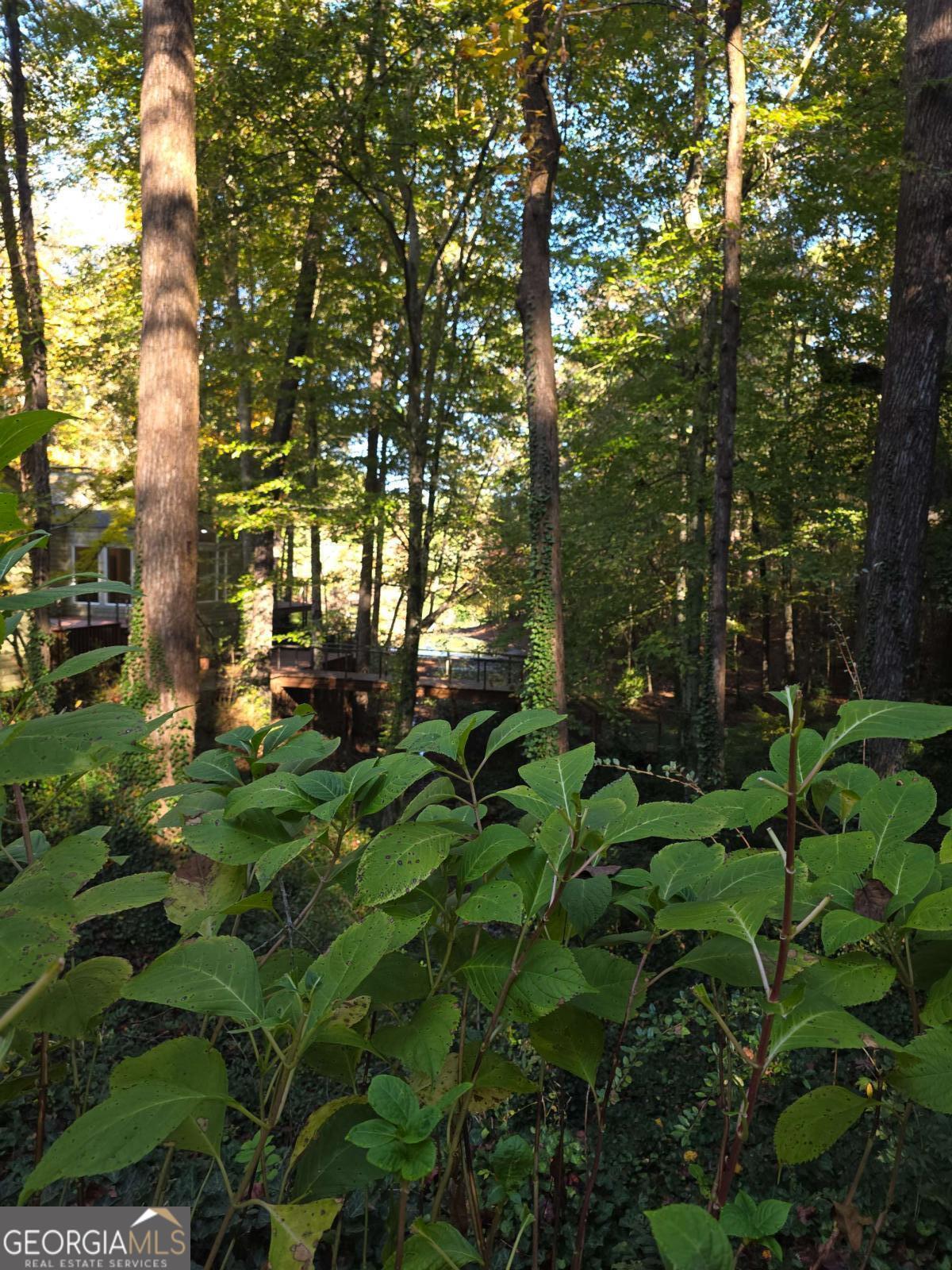 5656 Hamilton Road Pine Mountain, GA 31822 - Photo 73 of 87