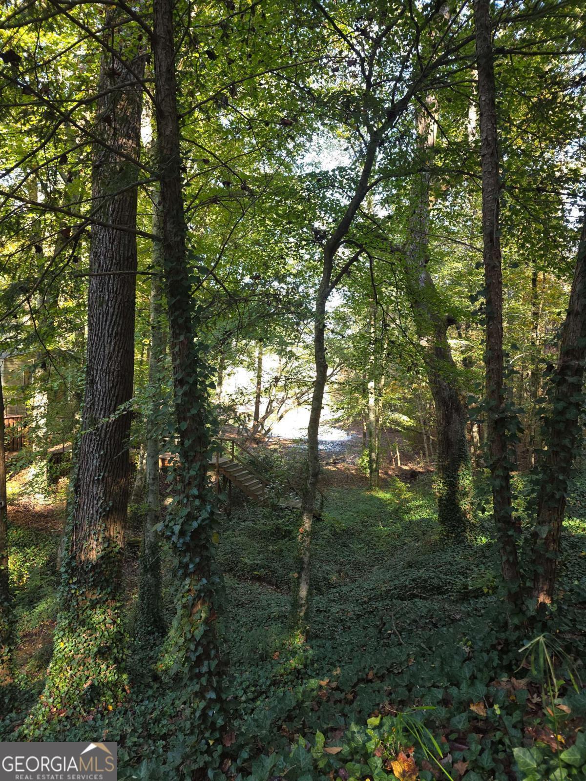 5656 Hamilton Road Pine Mountain, GA 31822 - Photo 74 of 87