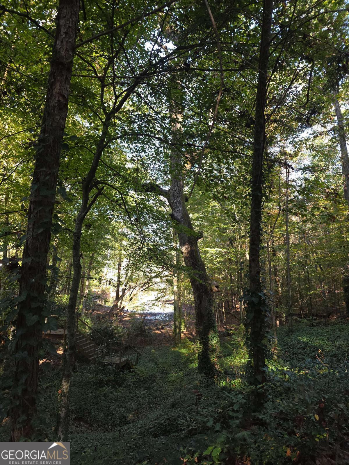 5656 Hamilton Road Pine Mountain, GA 31822 - Photo 75 of 87