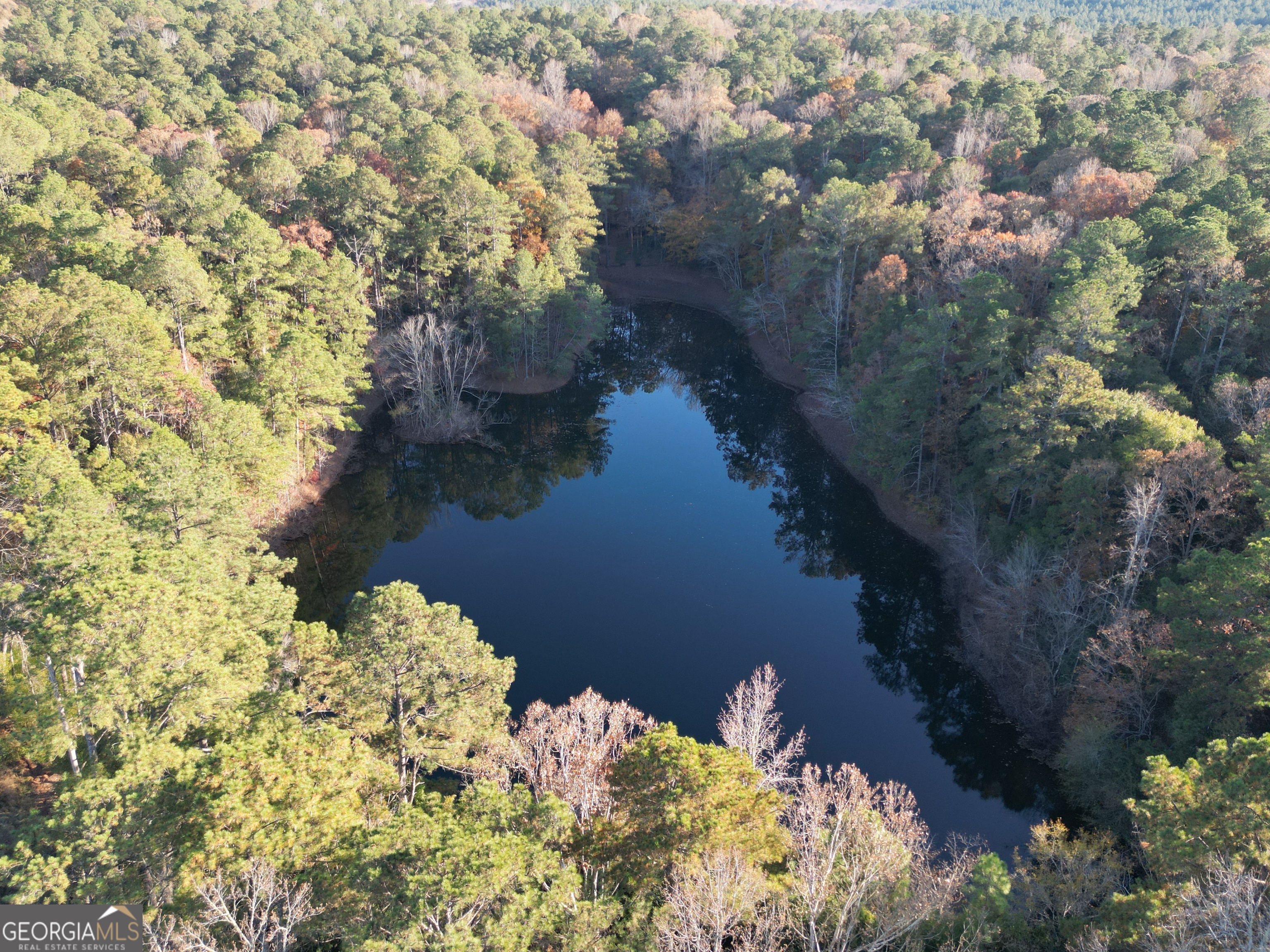 5656 Hamilton Road Pine Mountain, GA 31822 - Photo 84 of 87